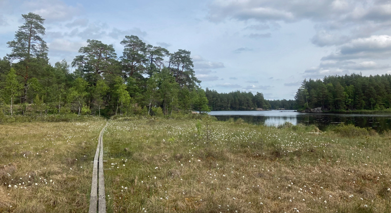 Boardwalk at Lilla Skiren, Trollkäringeskogen nature reserve